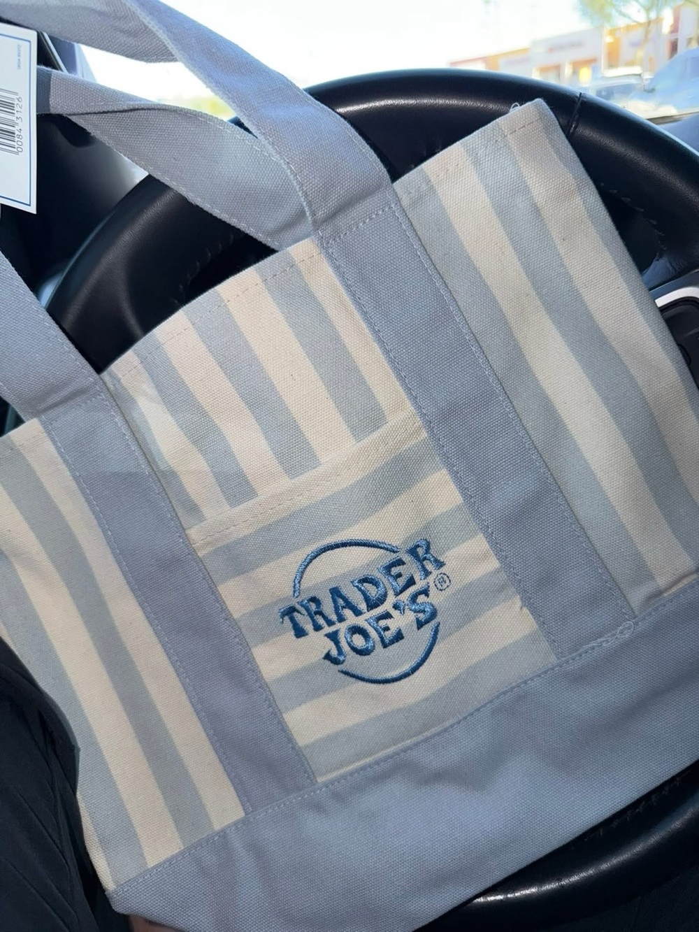Trader Joe's Blue and Cream Striped Mini Tote Bag